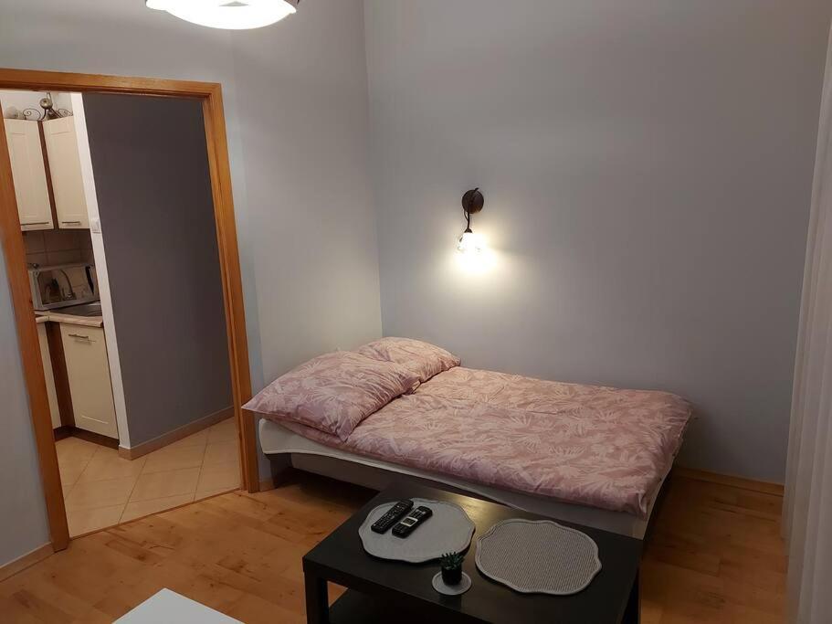 Homelyapartment Краків Екстер'єр фото